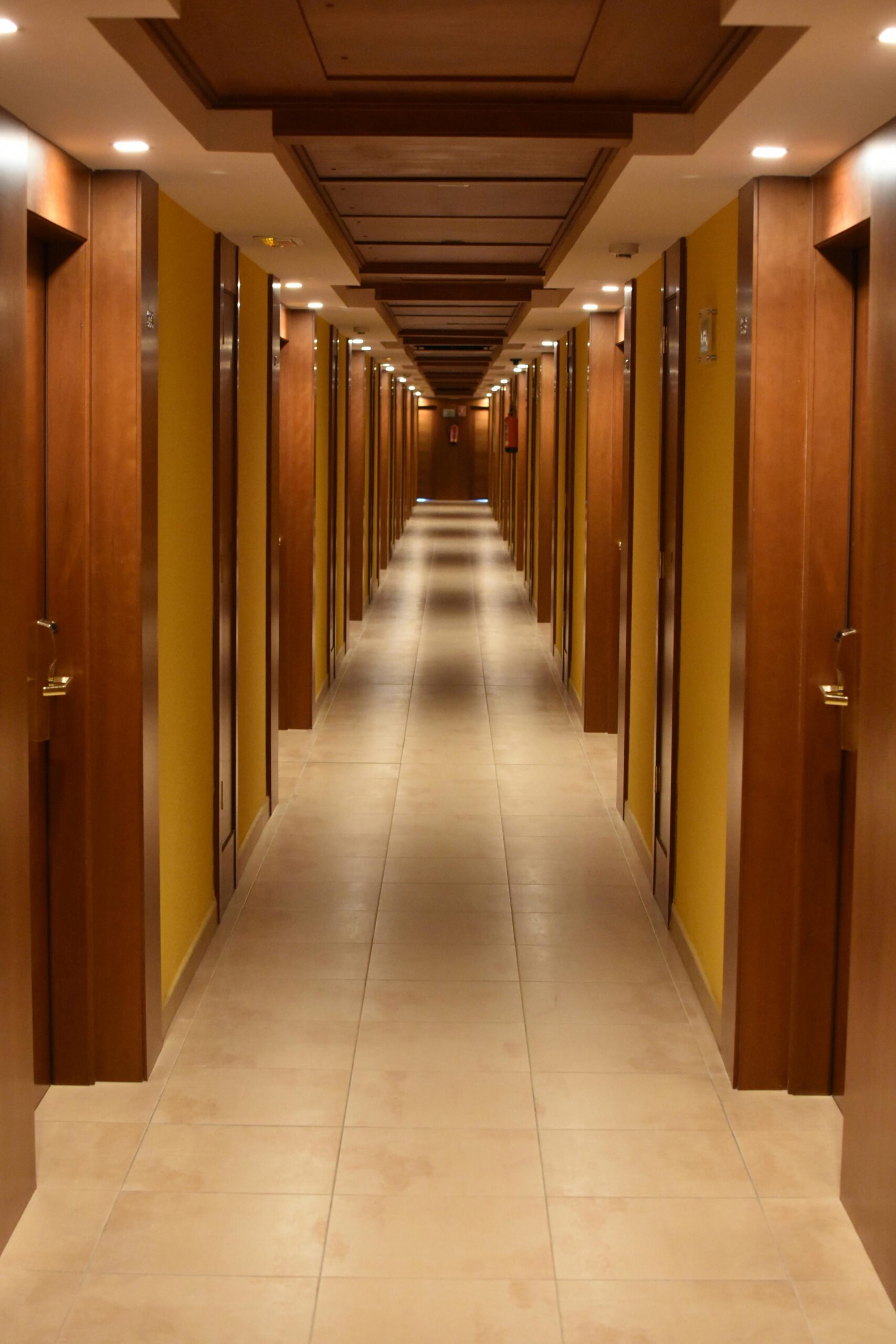 Perth Insulation Remover – Leading Ceiling Services in Perth
