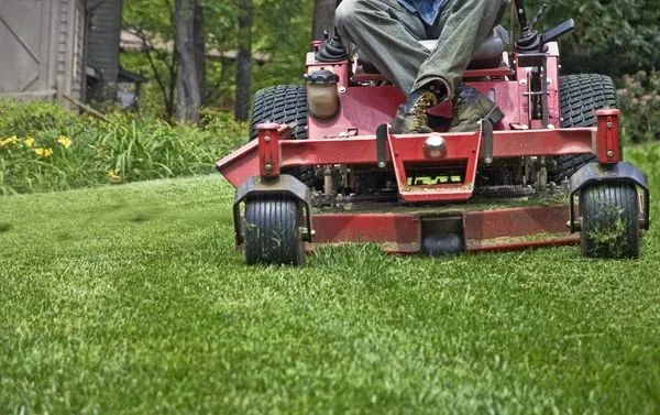 PristineCutsLawnCare: Transforming Outdoor Spaces in Stafford, VA